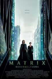 Matrix Resurrections