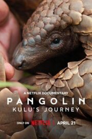 Pangolin: Kulu’nun Yolculuğu