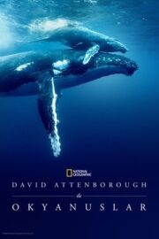 David Attenborough ile Okyanuslar