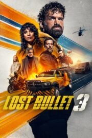 Lost Bullet 3