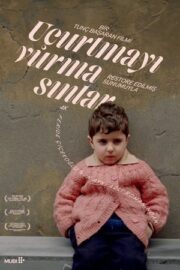 Uçurtmayı Vurmasınlar